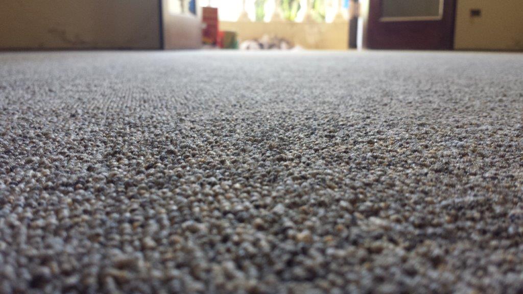 Carpete Zoom (3)